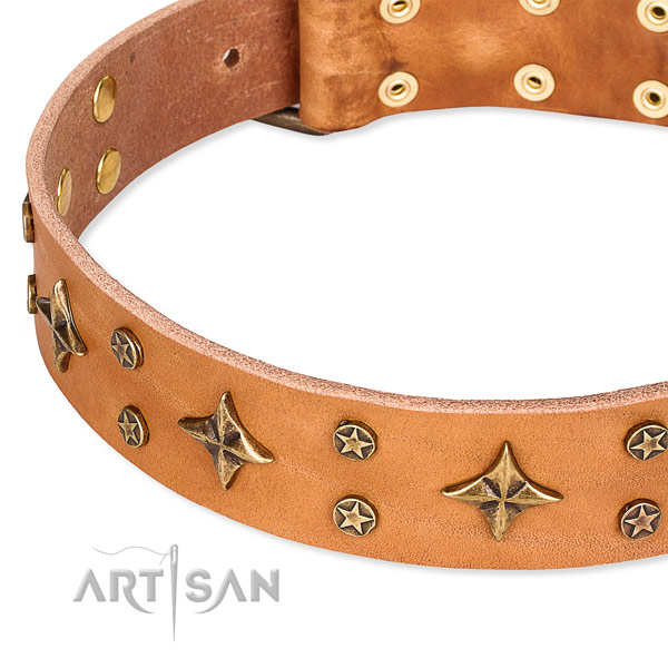 Easy wearing decorated dog collar of reliable genuine leather