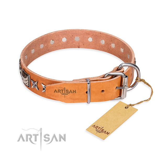 High quality studded dog collar of full grain leather