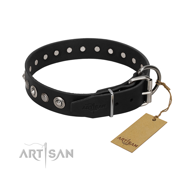 Finest quality natural leather dog collar with fashionable adornments