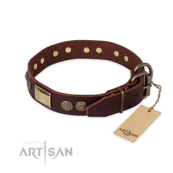 Reliable fittings on full grain natural leather collar for daily walking your four-legged friend