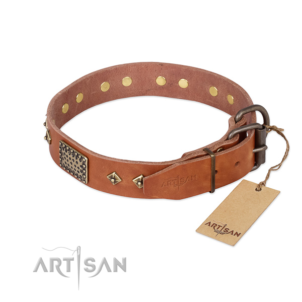 Leather dog collar with durable D-ring and decorations