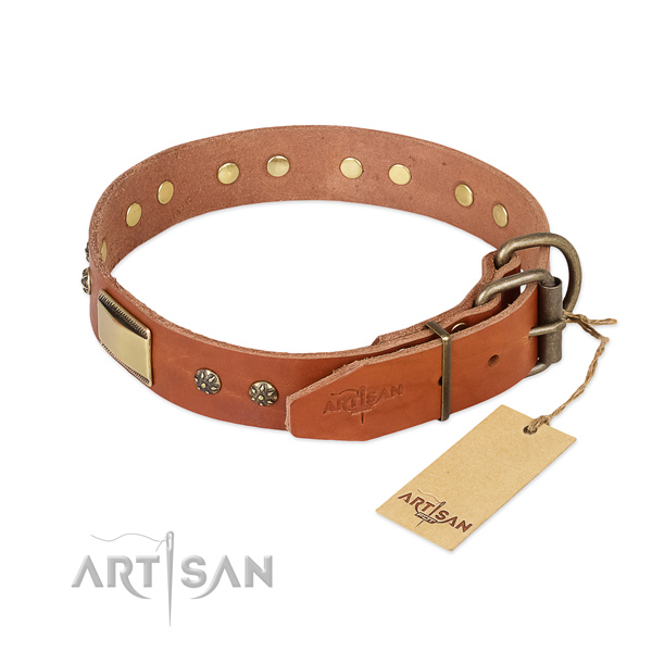 Leather dog collar with durable traditional buckle and adornments