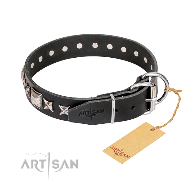 Reliable studded dog collar of natural leather