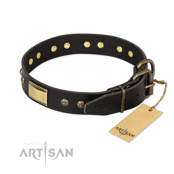 Full grain leather dog collar with reliable traditional buckle and studs