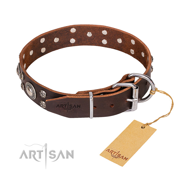 Walking embellished dog collar of best quality genuine leather