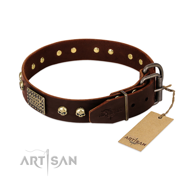 Durable decorations on everyday walking dog collar