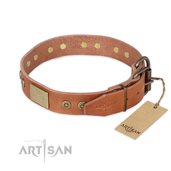 Reliable D-ring on full grain natural leather collar for everyday walking your canine