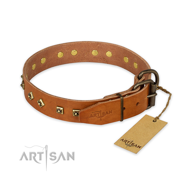 Rust resistant D-ring on genuine leather collar for daily walking your canine