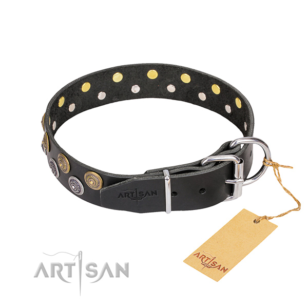 Walking decorated dog collar of high quality natural leather