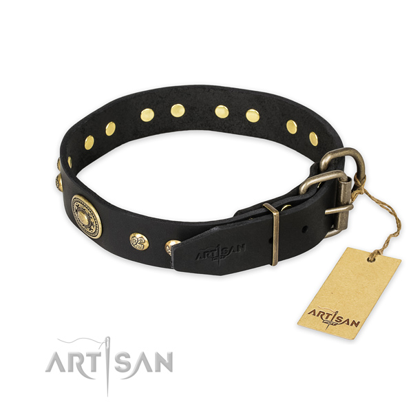 Rust resistant traditional buckle on leather collar for fancy walking your four-legged friend