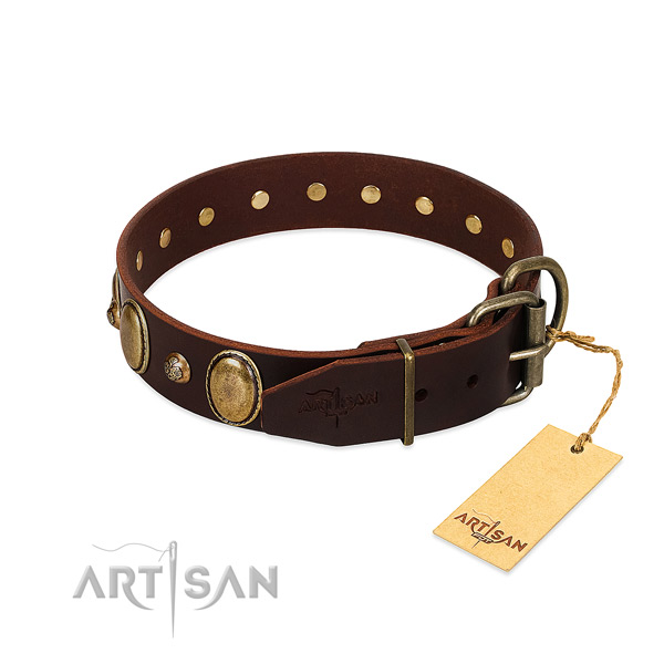 Durable traditional buckle on leather collar for daily walking your pet