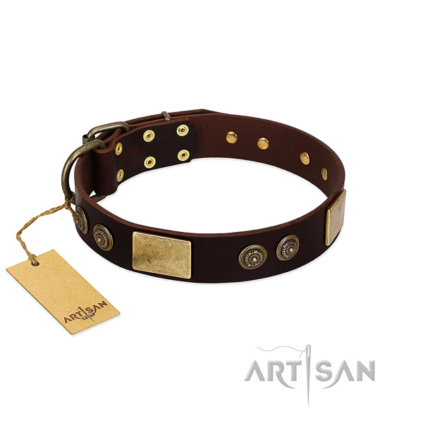 Reliable decorations on full grain natural leather dog collar for your dog