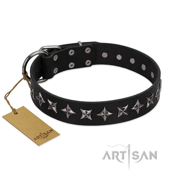 Daily use dog collar of quality leather with decorations