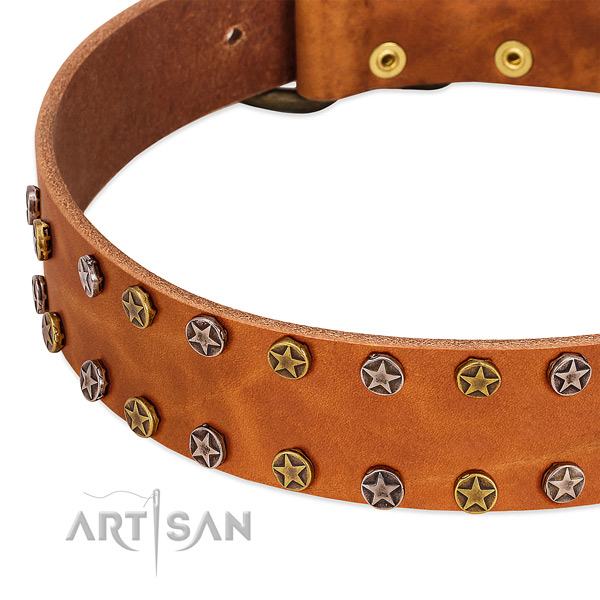 Daily walking natural leather dog collar with trendy embellishments