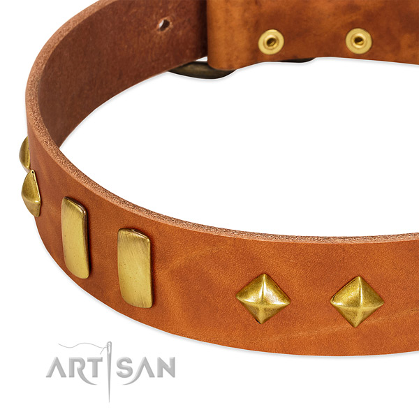 Easy wearing genuine leather dog collar with unique adornments