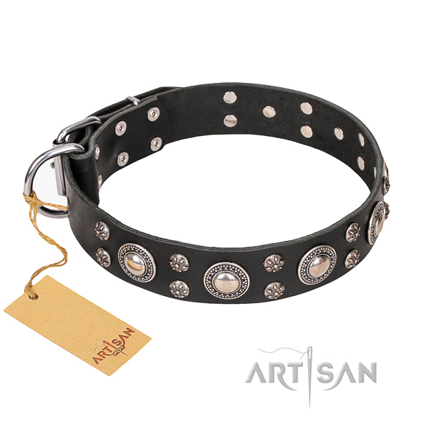 Walking dog collar of finest quality leather with decorations