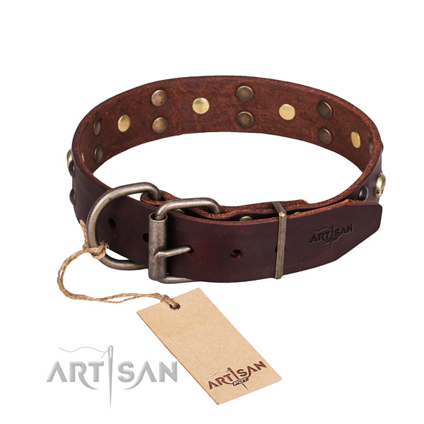 Walking decorated dog collar of reliable full grain natural leather
