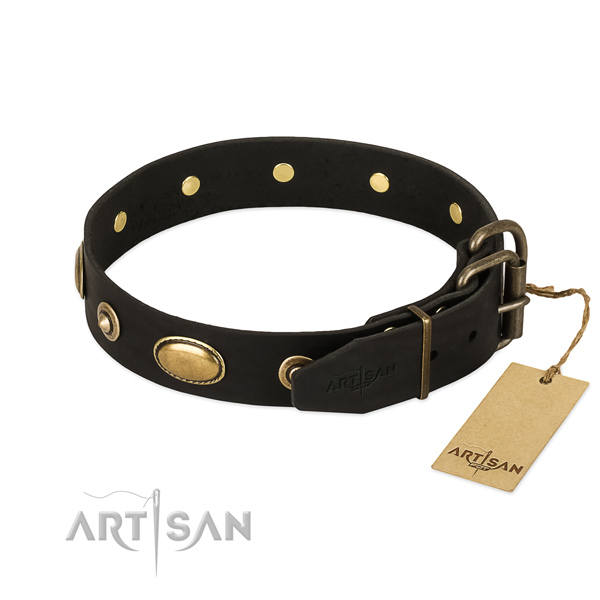 Rust resistant traditional buckle on natural leather dog collar for your pet
