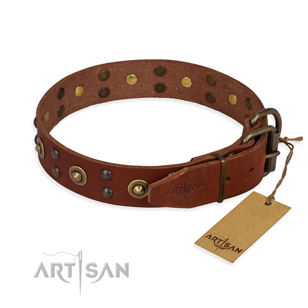 Reliable buckle on genuine leather collar for your handsome canine