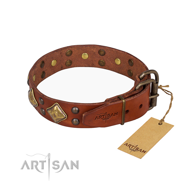 Leather dog collar with extraordinary rust resistant decorations