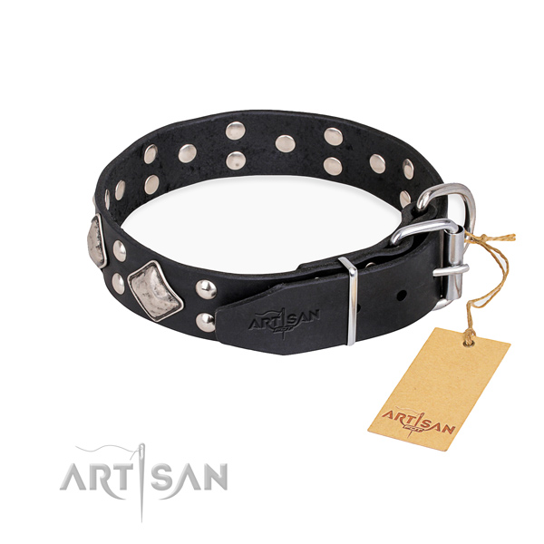 Full grain natural leather dog collar with unusual strong studs