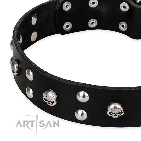 Stylish walking embellished dog collar of reliable genuine leather