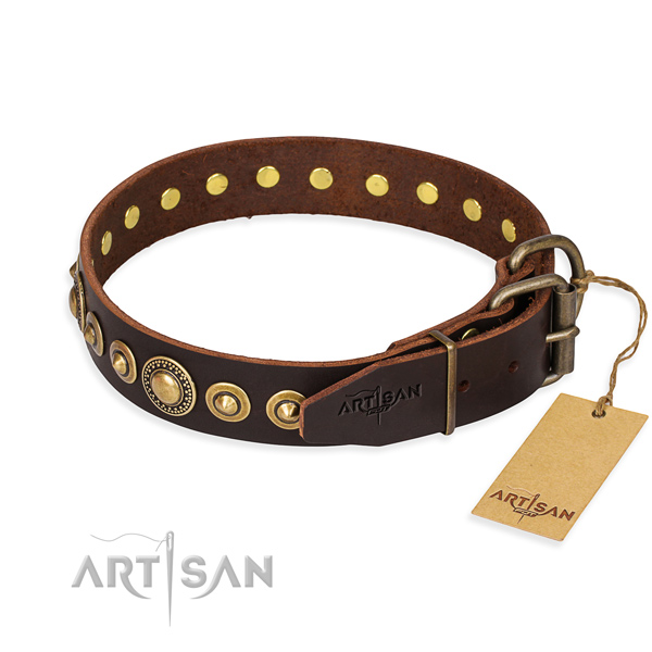 Quality genuine leather dog collar handmade for everyday walking