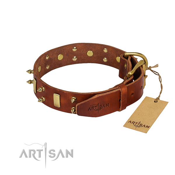 Basic training embellished dog collar of top notch full grain natural leather