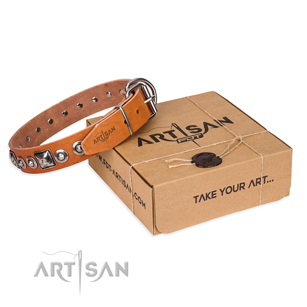 Genuine leather dog collar made of quality material with durable fittings