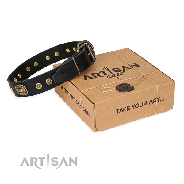 Full grain genuine leather dog collar made of soft material with reliable fittings