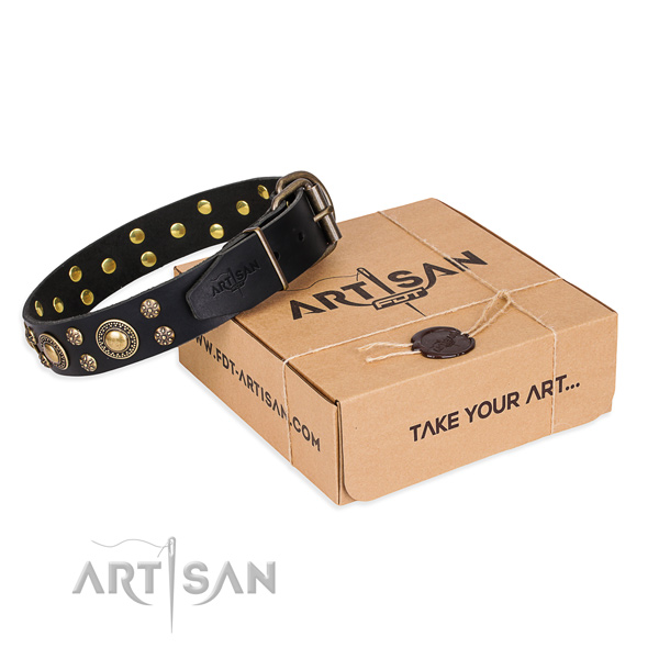Stylish walking dog collar of reliable full grain natural leather with adornments