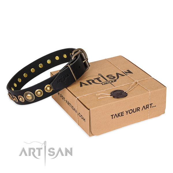 Top notch full grain leather dog collar crafted for walking