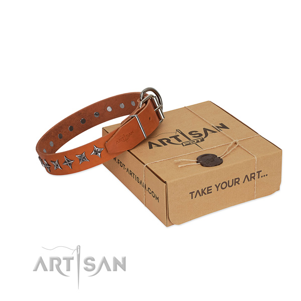 Quality natural leather dog collar with exceptional decorations