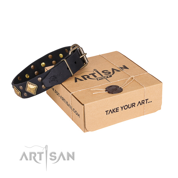 Comfortable wearing dog collar with Exceptional corrosion proof embellishments