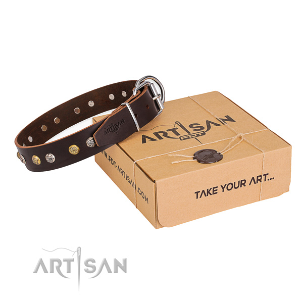 Gentle to touch genuine leather dog collar made for everyday walking