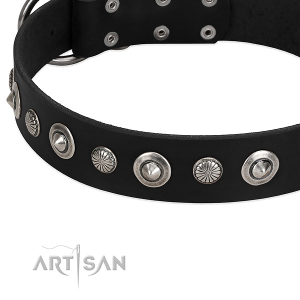 Trendy studded dog collar of top quality full grain genuine leather