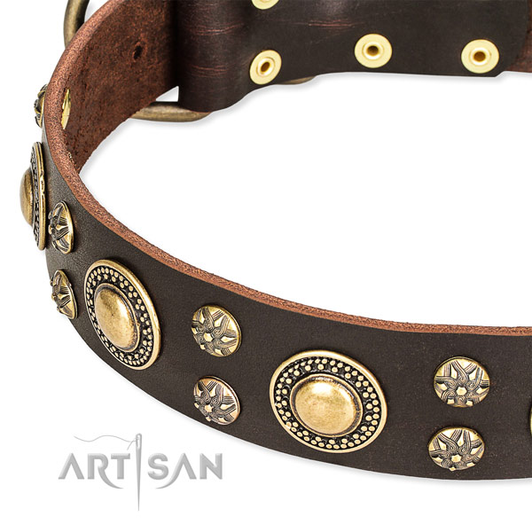 Comfortable wearing decorated dog collar of quality full grain leather