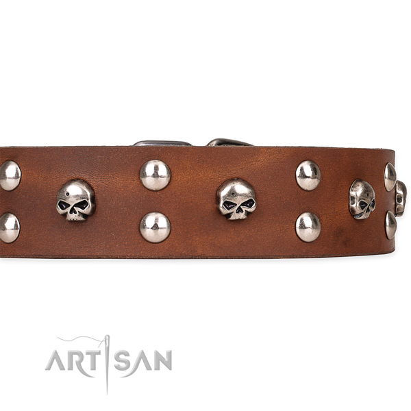 Everyday walking decorated dog collar of finest quality full grain natural leather