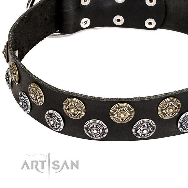 Everyday use embellished dog collar of quality natural leather