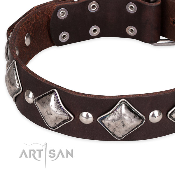 Everyday walking adorned dog collar of high quality full grain leather