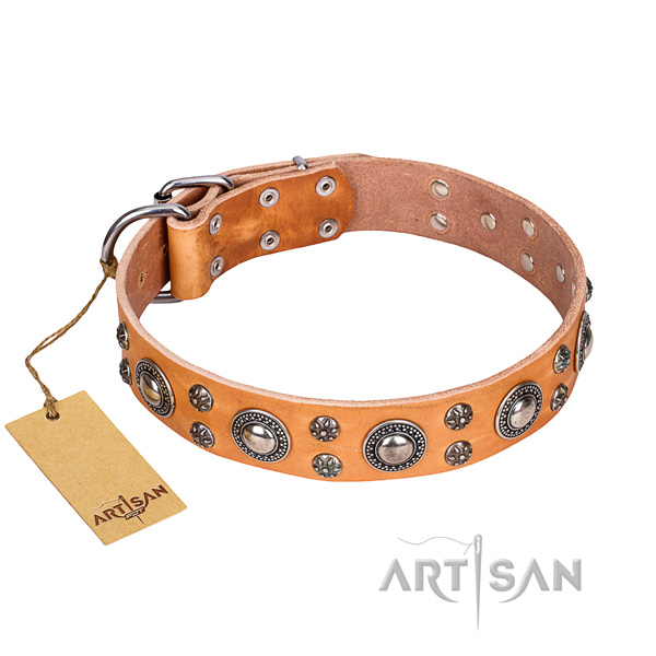 Daily use dog collar of durable full grain genuine leather with embellishments