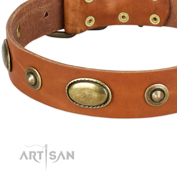 Durable hardware on full grain leather dog collar for your four-legged friend