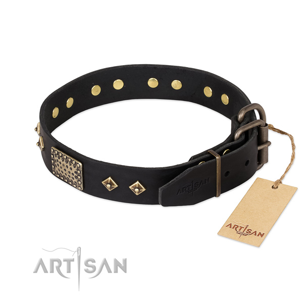 Leather dog collar with corrosion proof buckle and adornments