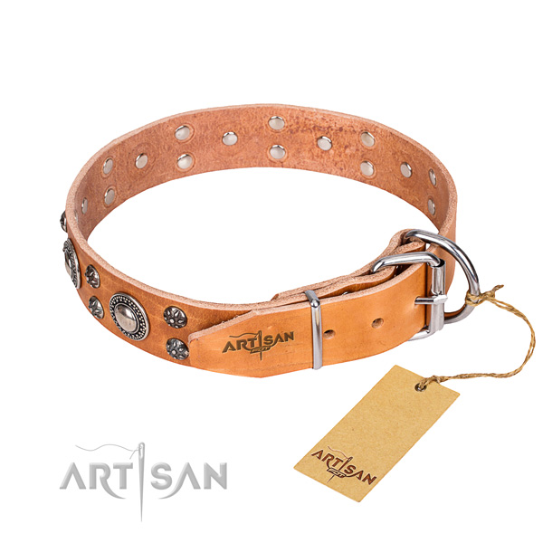 Walking decorated dog collar of finest quality full grain leather