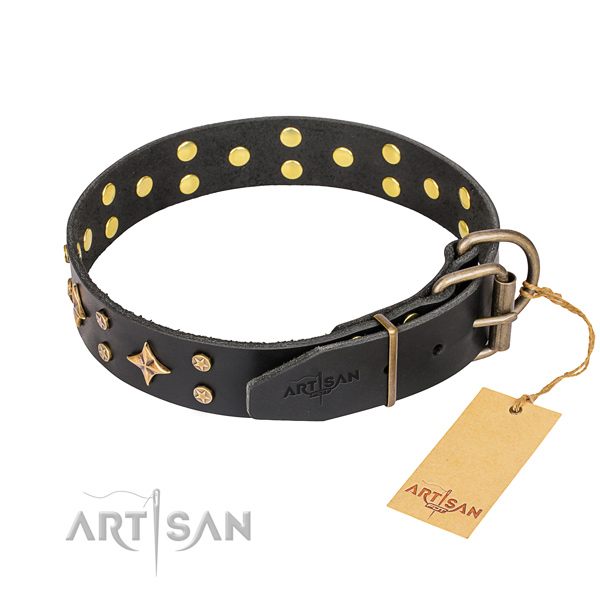 Daily use studded dog collar of strong full grain leather