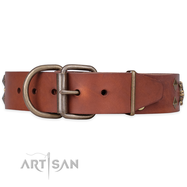 Everyday walking studded dog collar of high quality full grain leather