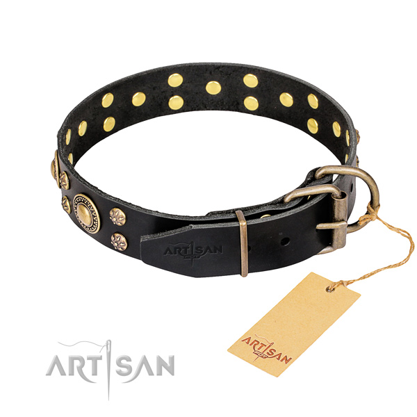 Everyday use embellished dog collar of finest quality genuine leather