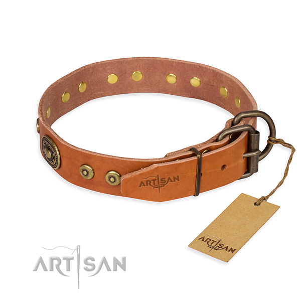 Full grain natural leather dog collar made of quality material with rust resistant adornments