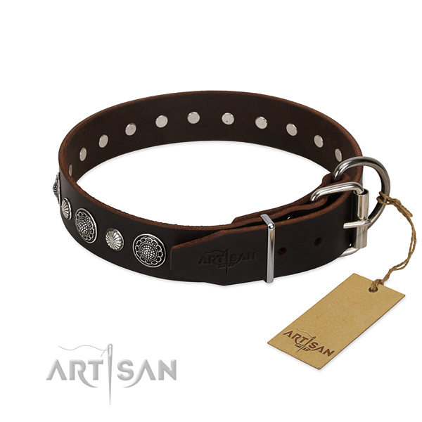 Quality full grain leather dog collar with rust-proof hardware