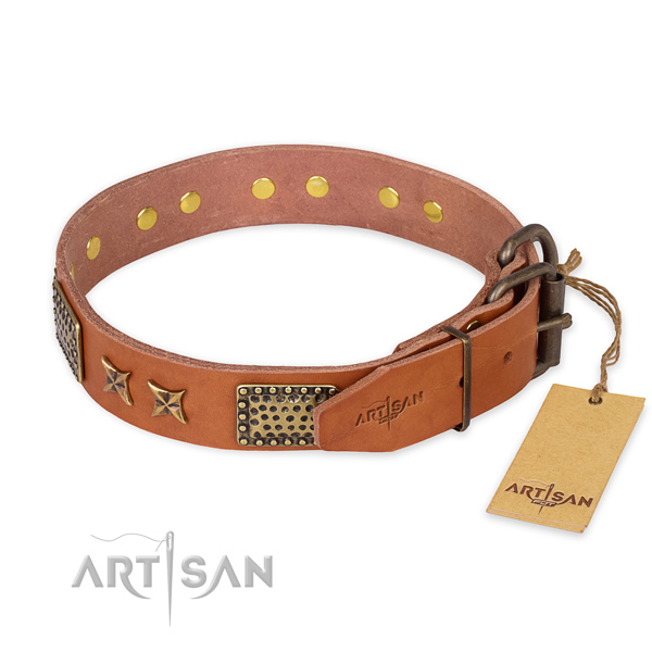 Corrosion proof buckle on leather collar for your handsome dog